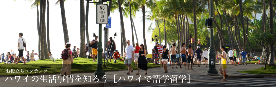 お役立ちコンテンツ　ハワイの生活事情を知ろう【ハワイで語学留学】