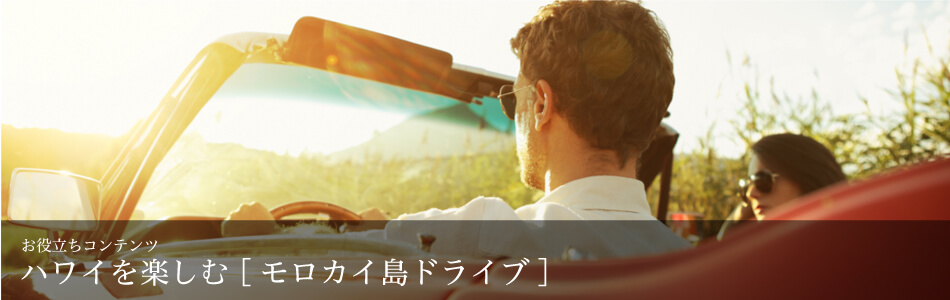 ≪ゅ涯ゃ